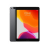 iPad 2019 10.2 (7e Gen)